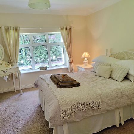 Rooms At Ballysax House The Curragh ภายนอก รูปภาพ